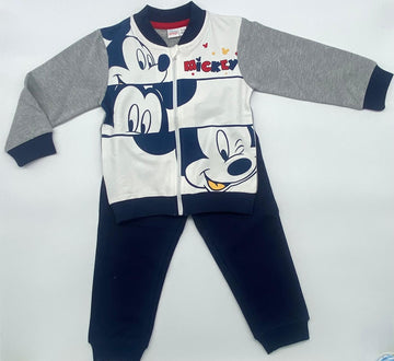 Due pezzi Topolino disney
